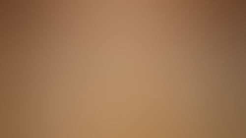 75Ca40F2Cab77D8902403Fc39B005F43