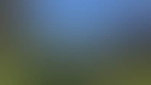 8E998D2F5F7D34D911Caa95449B9B831