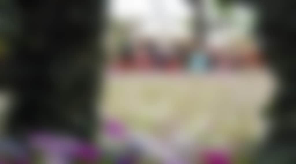 C67Df60Daa0D9D62D7543Ce8E01725Ab