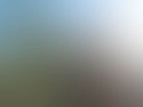 Halls Gap Zoo mashup