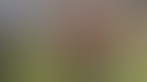 6F41Ae32Fb2B01E8F9F9874Bef86014C