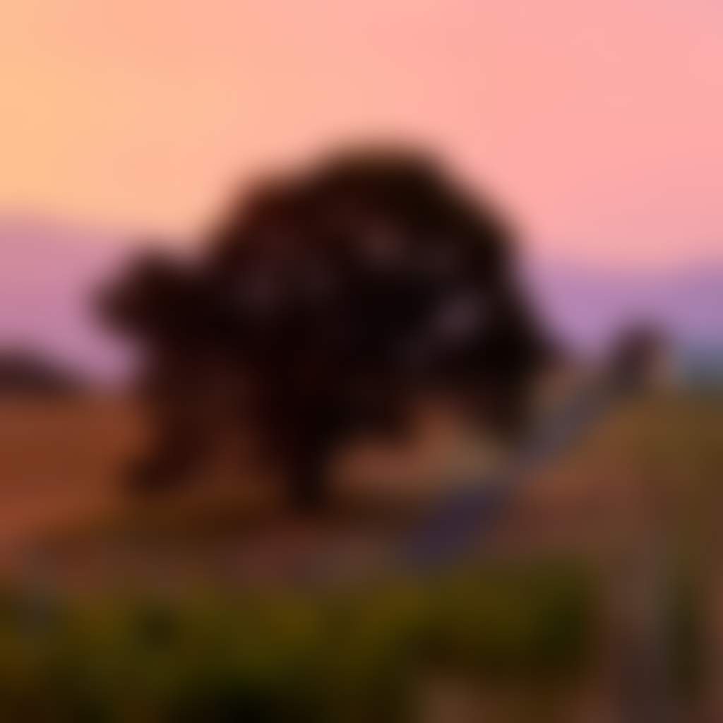 D0C83Cdeb26A179069D67Aa00B75C111