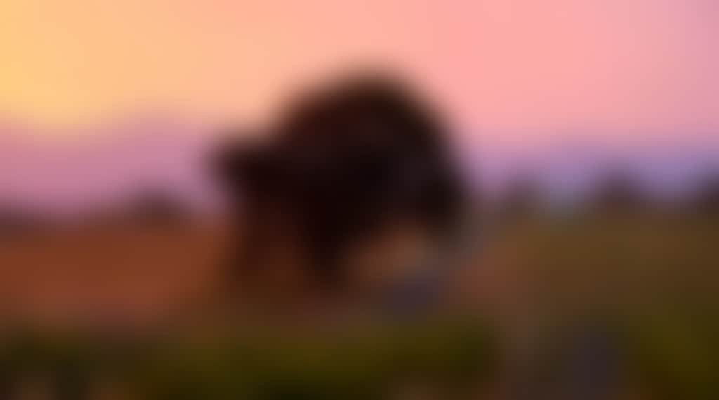 D0C83Cdeb26A179069D67Aa00B75C111