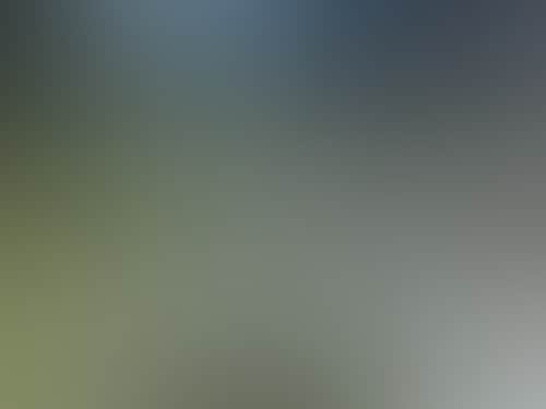 Daecb99C65Cc98D6C84Ace56D33B3754