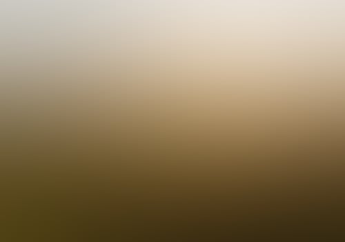 156931 56