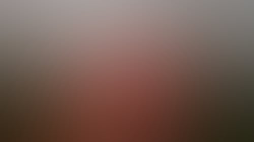 02B04Cb2F77996505A848B861D2A8473