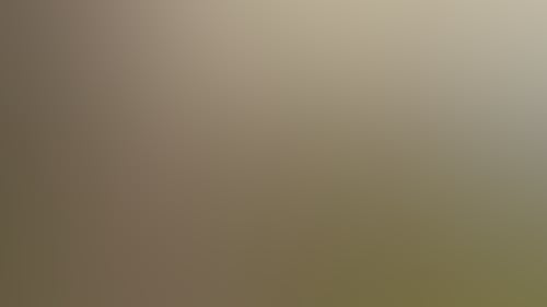Eeb53Ff468D3E53F8D1866Aa9C040134