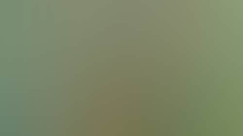 Acb8B8F0Ee89Ab65E360Abff563A7C79