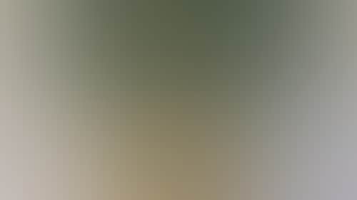 5B774Dd1056D797Fc1E4Afd13Ba6Abb4