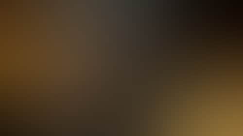 41E32569B532Bbd6D8E1A51Df0509571