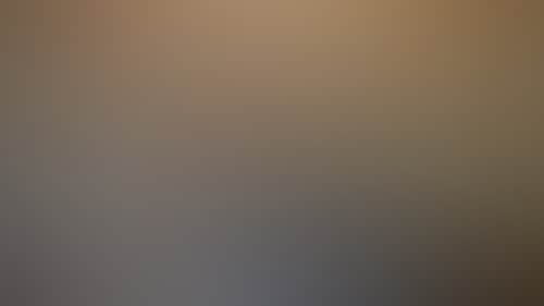 Bad6F152Ab1B7613B680F704259C9D53