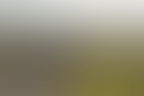 Untitled 5000 x 3333 px 1