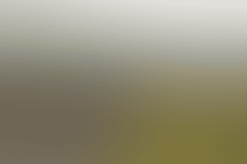 Untitled 5000 x 3333 px 1