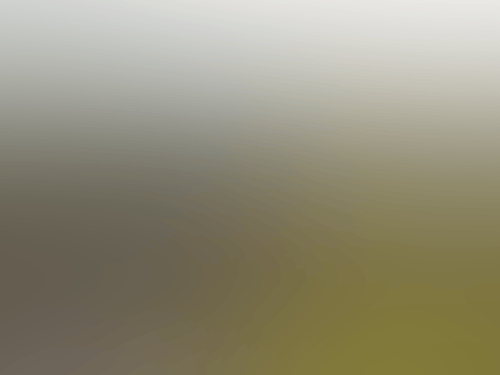 Untitled 5000 x 3333 px 1