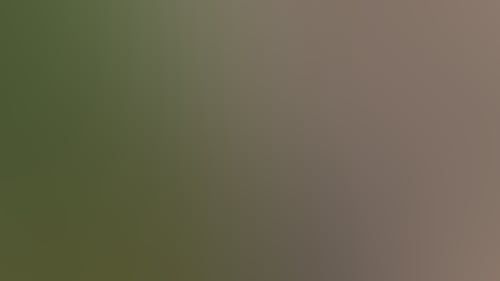 9F91833896E1C3C5Cde1D6Ff39E07Df3