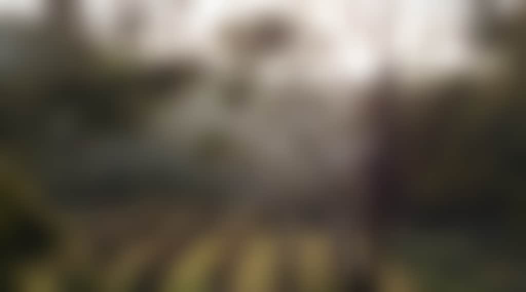Original__9644289_Cd39_P5281368_Sinb6P5