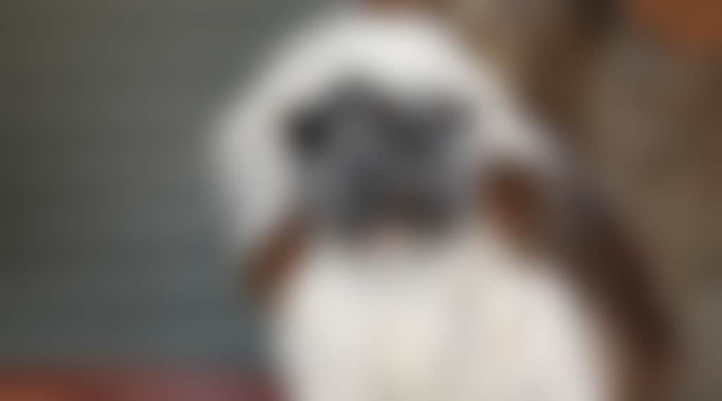 A75074708Eb9379A76F8Fa6Dcedfbbbe