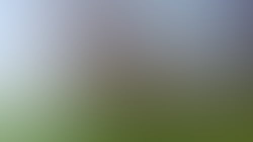 F0C98D3704F09A3D51Ffdc50Ed45B2Ad