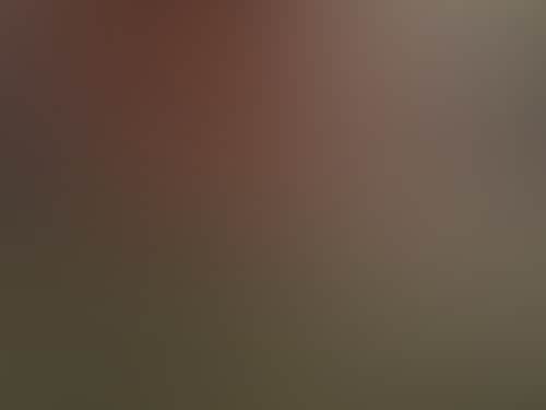 6E2Fc5Eb4D2Bffa573B52Fffbd7Acb95