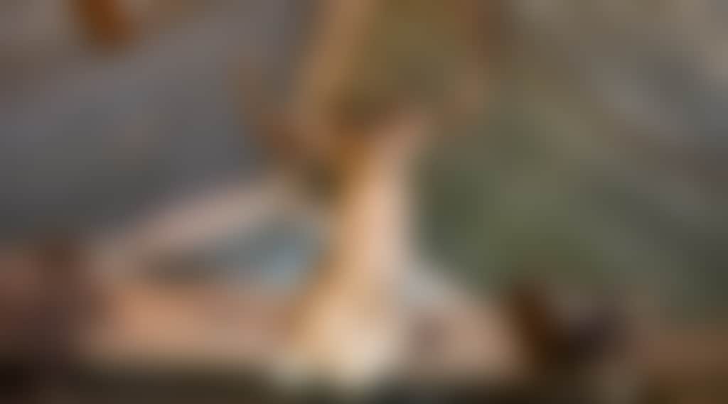 62724A923E23Cf588E02D6B84988Dc0C
