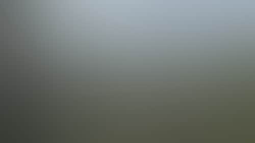 5021Cc1B07Dac0694757A7Ebf9C08E01