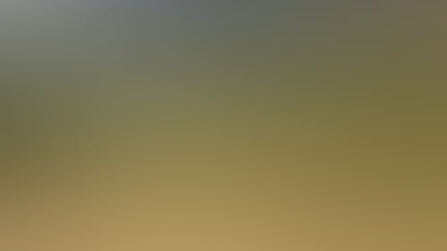 6A214906485867Bf543598044F0C1Cee
