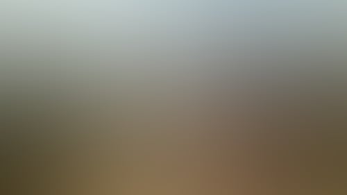 8E17Bf06A800978334D80B3Cdd7Ef778