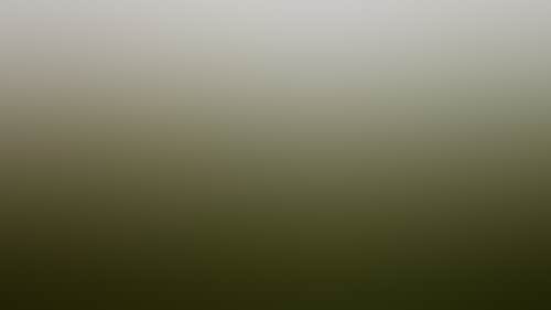 89D301B3D87Feef27C0C7C6B705661Cd