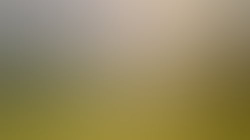 E1174806C75Deb4D810Eab900B7Ba96B