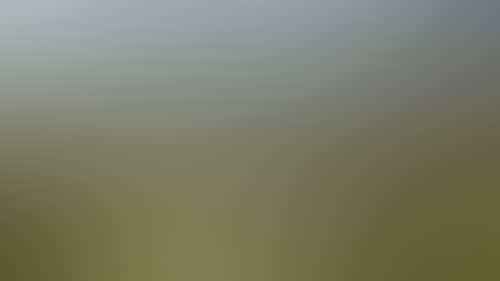 61A30Caf0E6438D0038A753E97359D92