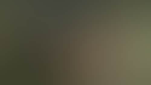 6121Bd1Cef5E4034E54Ee2318Fb233C2