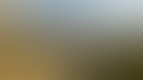 4333F982D027B1040183653613769754