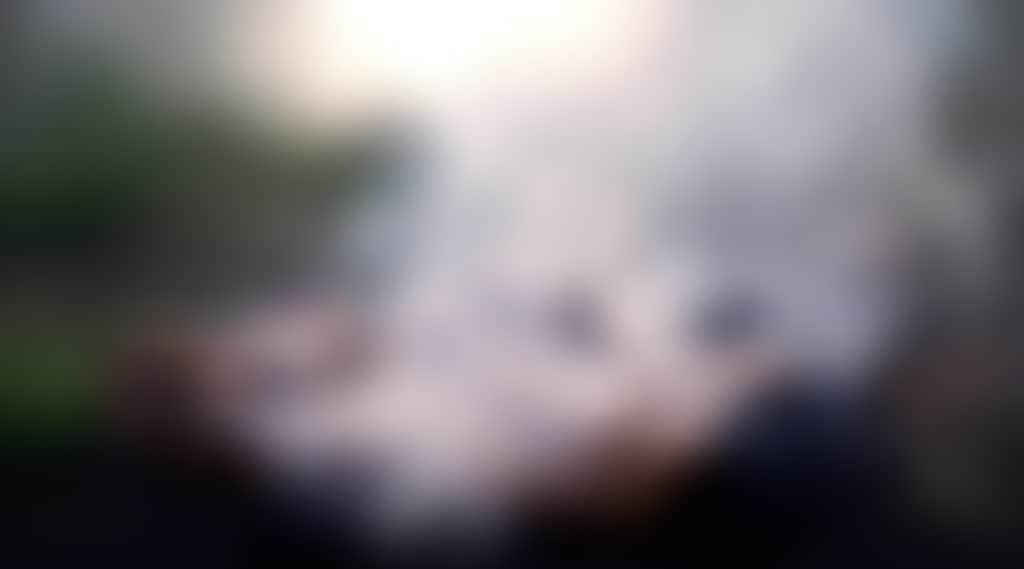 Bc8Eb5956Cf478552A267Fdfcb70B72C