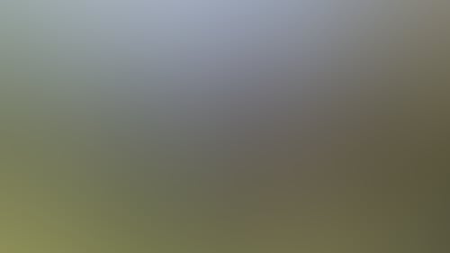 9861B9Fd16A748E04931725413055931