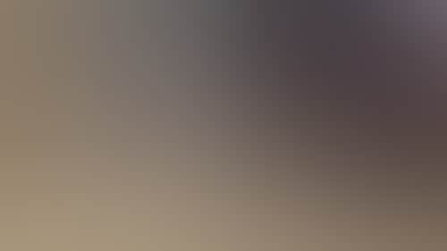 4E9556E3D494E9106E21498C017De289