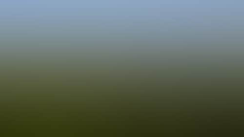 Original__9611130_Ao04_Mafeking_Vineyard_Dec_2011_Imgp0443_T1Zregx