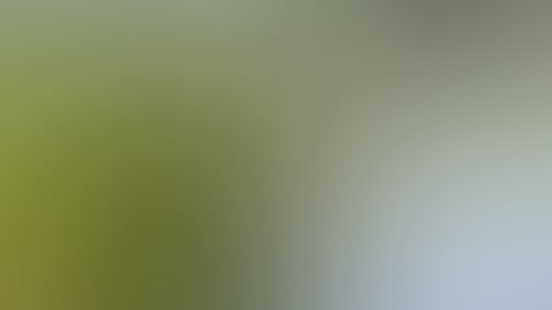 156929 56