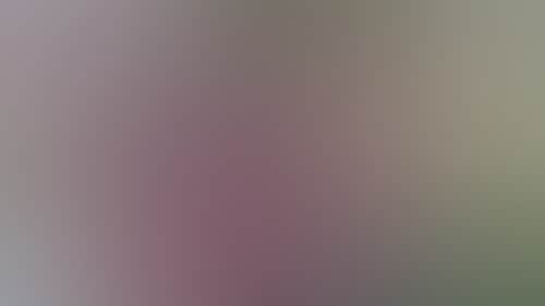 Original__9372665_Tvic_Img_2320_1I8K6Ef