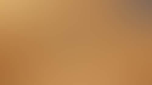 753Edf219532977D8Ac07433B0Eb2975