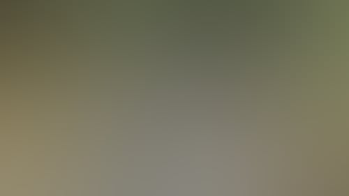 B311Eef9Cb015F77326E8B8792Ffc5D8