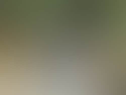 B311Eef9Cb015F77326E8B8792Ffc5D8