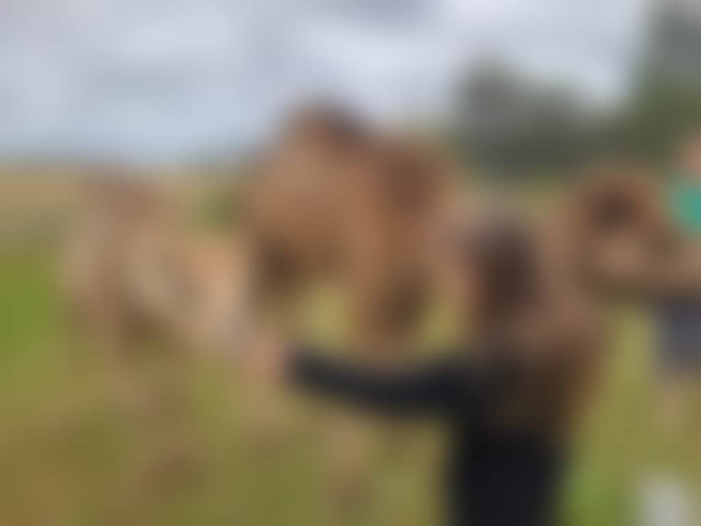 4572F6D0D8F15C54C9Aac2Ea6Db625D0