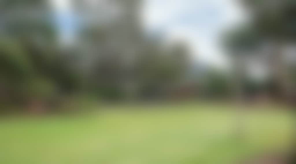 A7E0D17F414E6709Ae0De2959Af49091