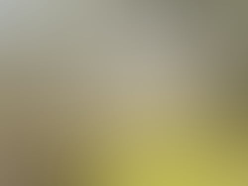 149453 56