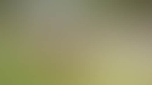 890C5Be511283B02Bad75723Eb400C8B