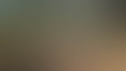 577Ce11D28Ab32Ddb5124Dbd159816A6