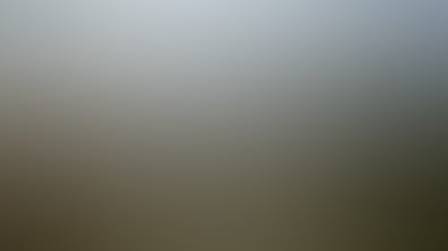 B9447A9912227F77520Be7Dba954B503