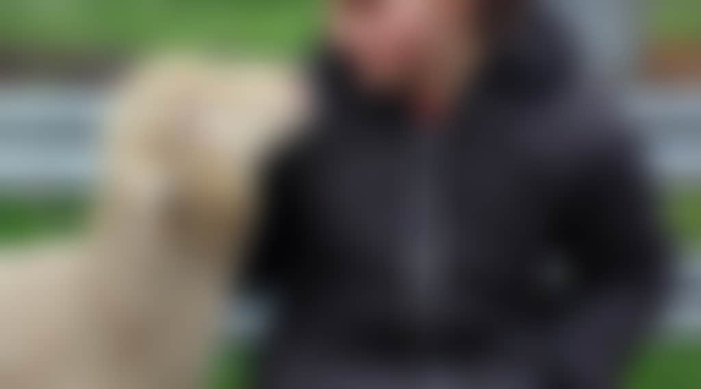 Ea49878223982F280Fb12911468B1906