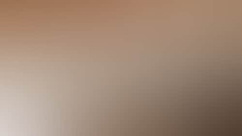 6B8155D05Db17Ea57Eb0Efbb1B404F06