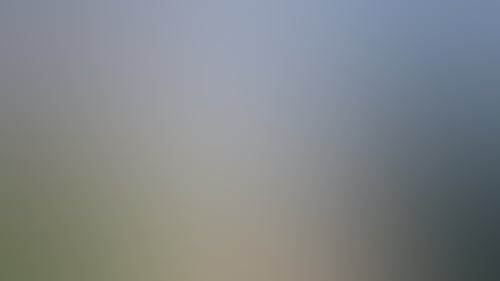 Df8786D40493E30Ab5E0B19Cffae2B9F